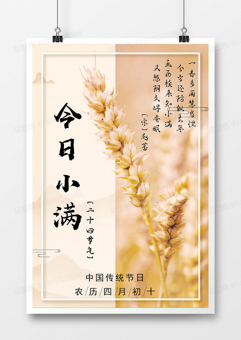 简约中国风小满二十四节气宣传海报