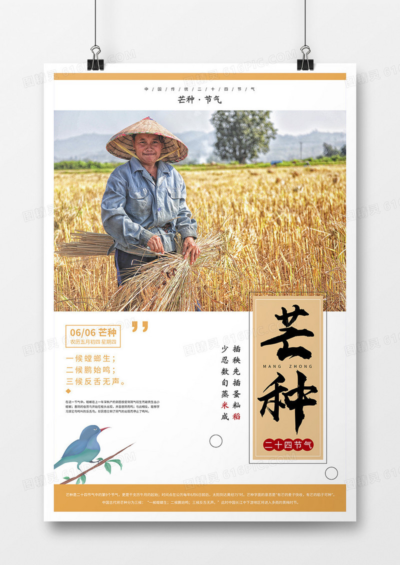 中国传统二十四节气之芒种海报
