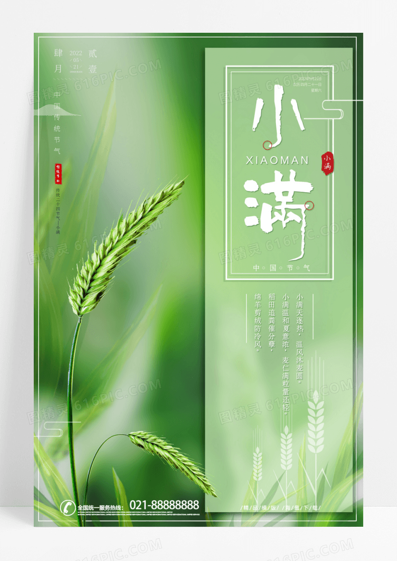 清新简约中国风简约小满节气海报