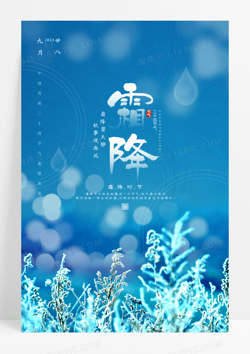 清新简约霜降二十四节气宣传海报