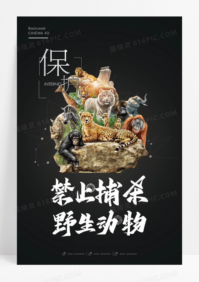 保护从未停止保护动物创意公益宣传海报
