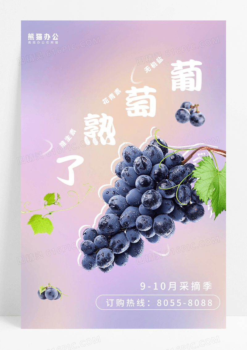 简约葡萄熟了水果采摘海报