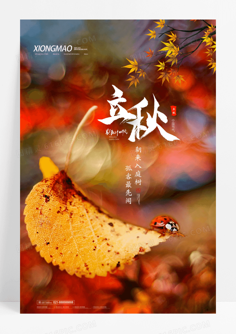 简约唯美二十四节气立秋宣传海报