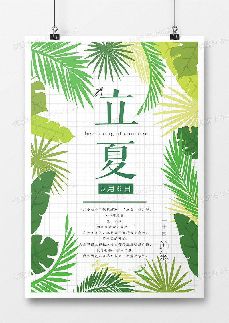 小清新风格立夏