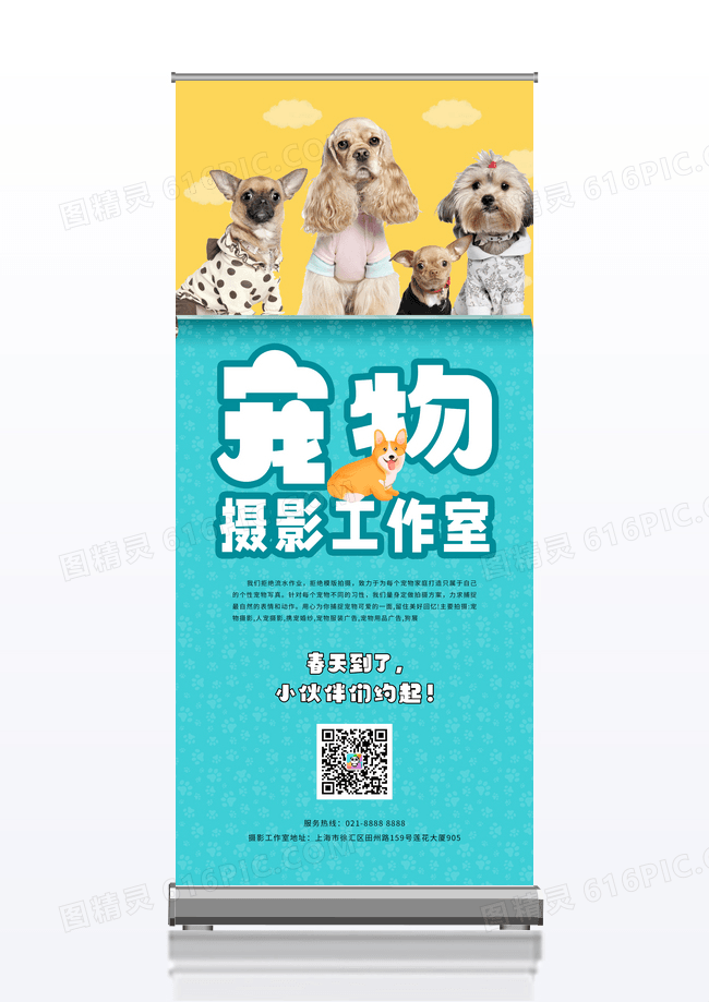 简约宠物摄影工作室展架
