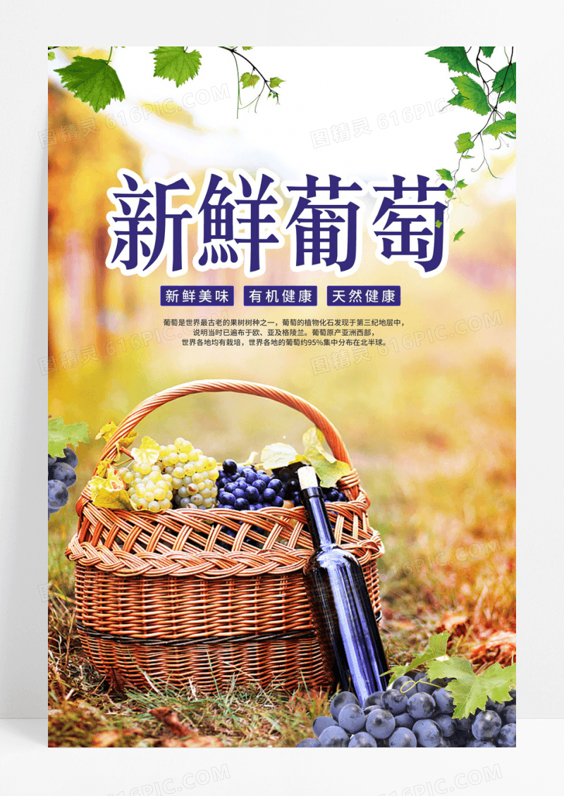 简约蓝紫色简约水果绿色新鲜葡萄宣传海报葡萄海报