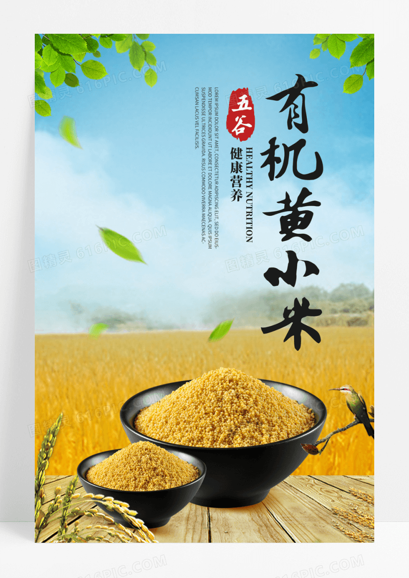 有机黄小米绿色谷物海报
