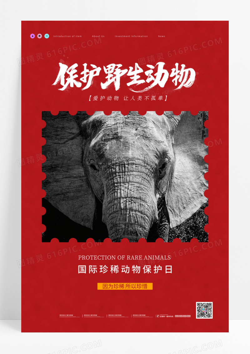 红色简约国际珍稀动物保护日海报