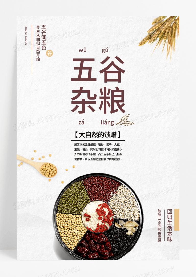 简洁五谷杂粮创意美食海报