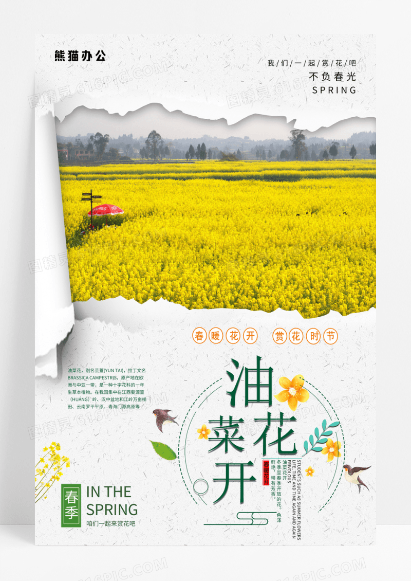 三月春天油菜花开踏青油菜花节海报