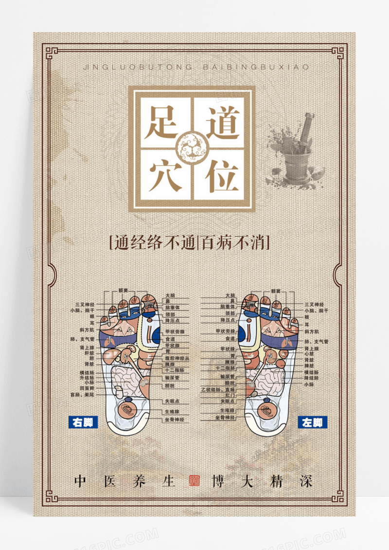 浅灰中医养生足疗足道穴位宣传海报