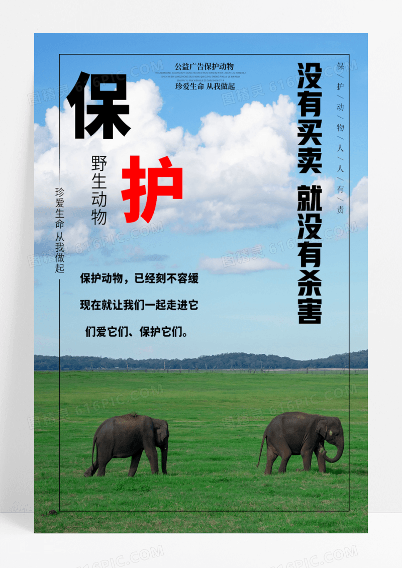 保护动物公益海报