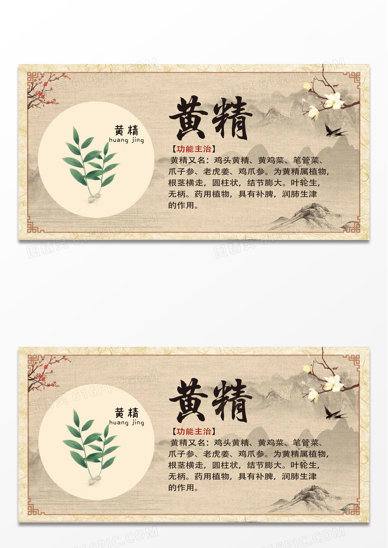 黄色简约黄精中药药材展板