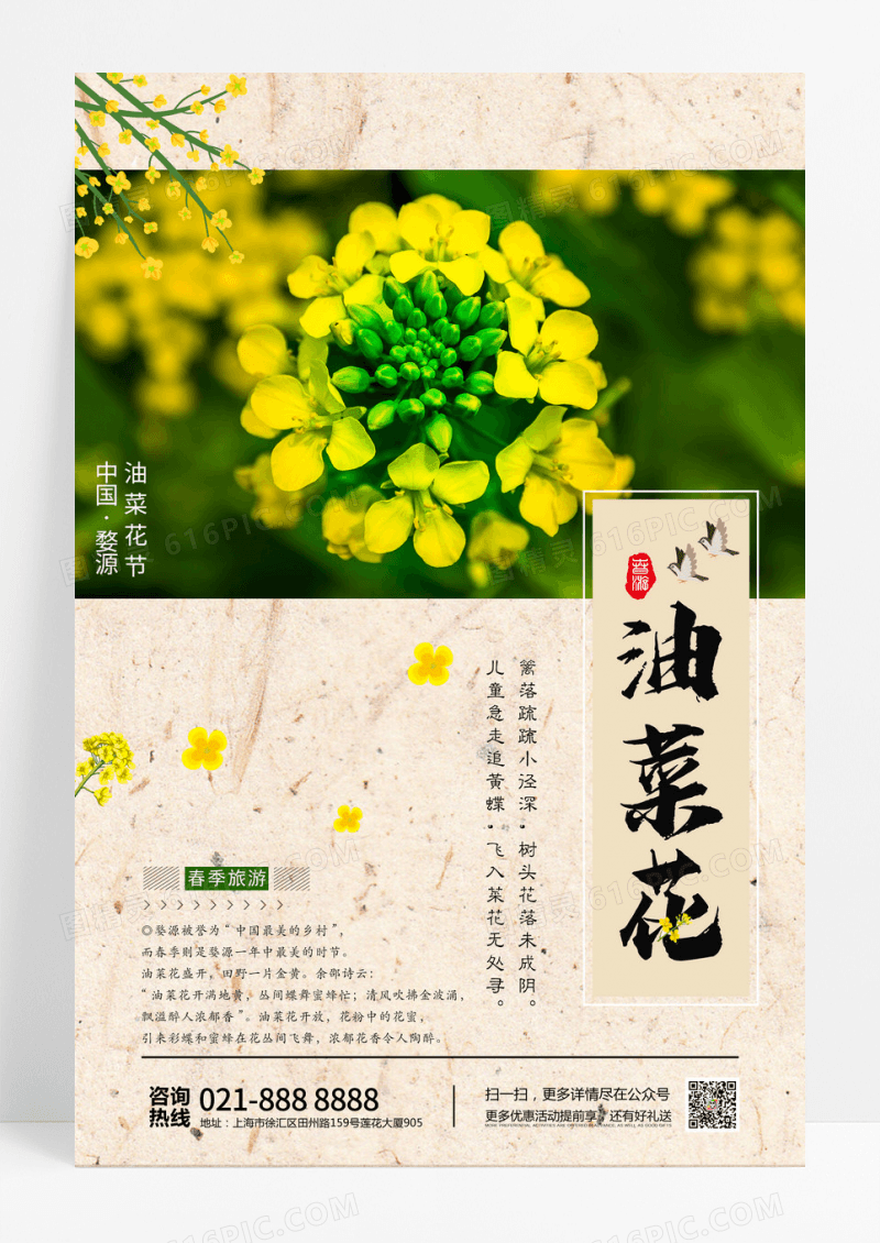 油菜花简约清新春季春天踏青春游油菜花海报