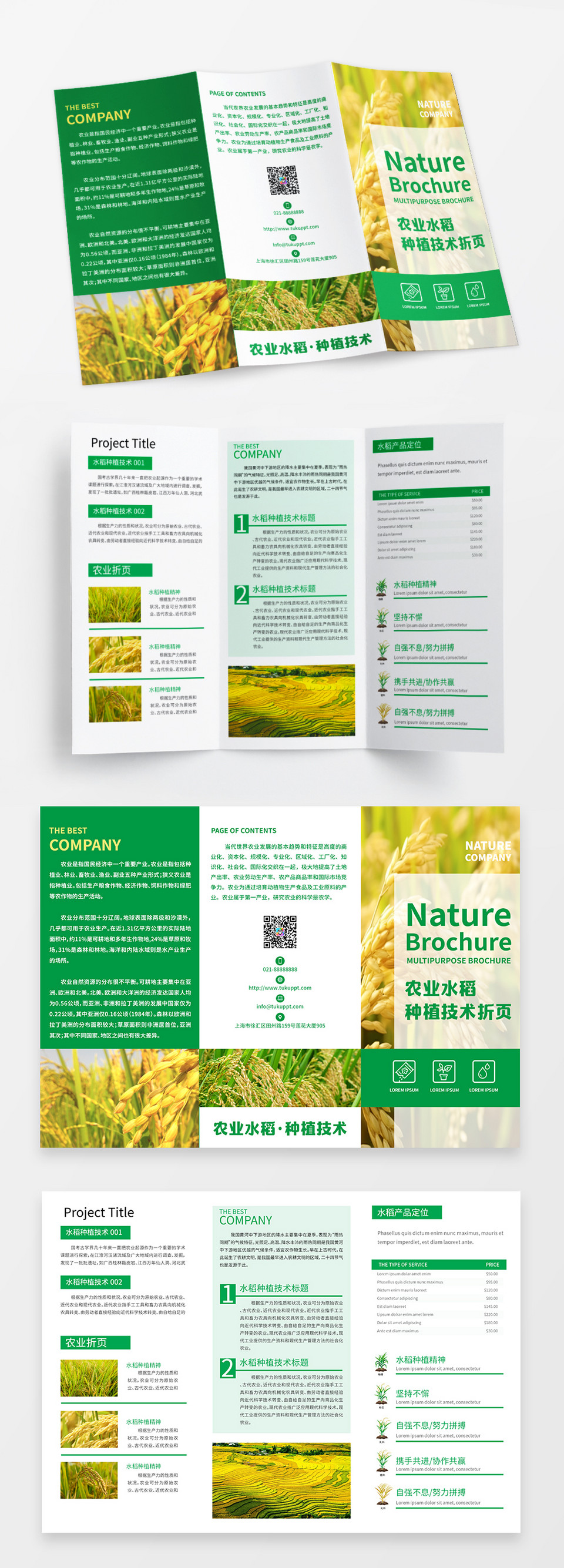 绿色小清新农业水稻种植技术宣传三折页
