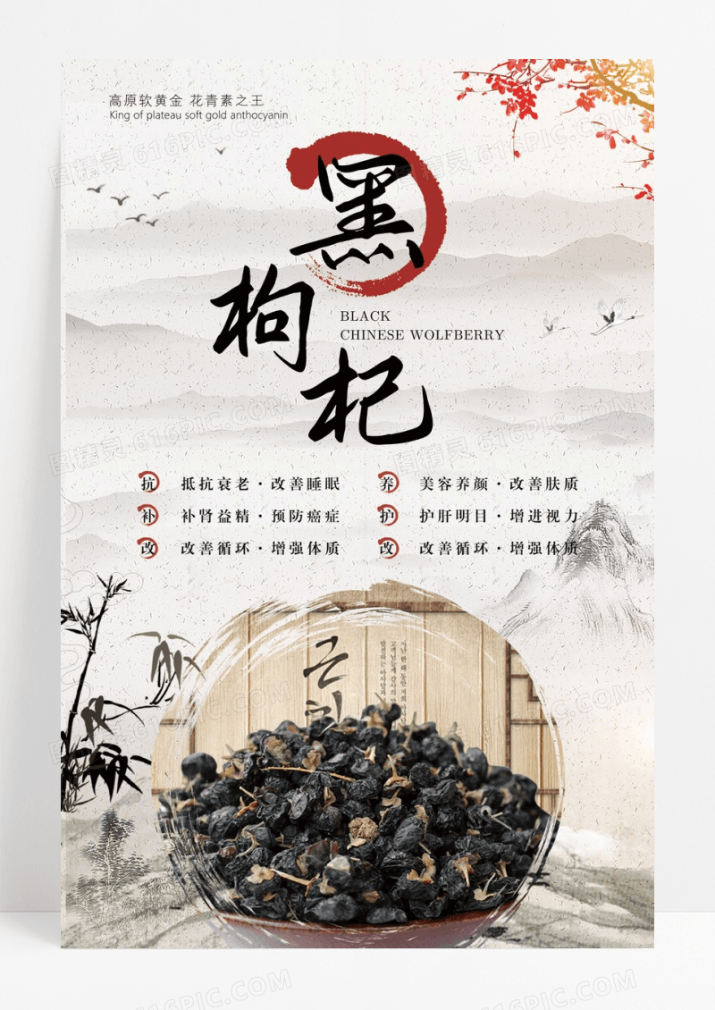 养生保健黑枸杞中药海报