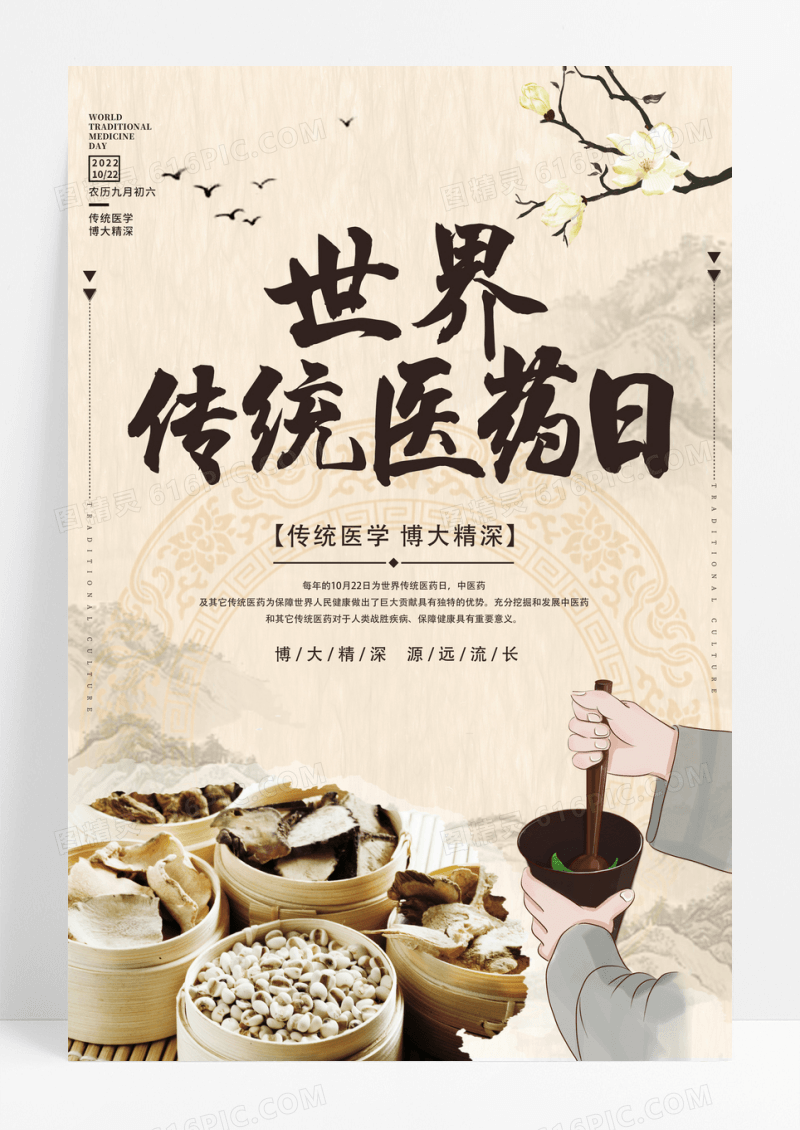 中国风世界传统医药日宣传海报