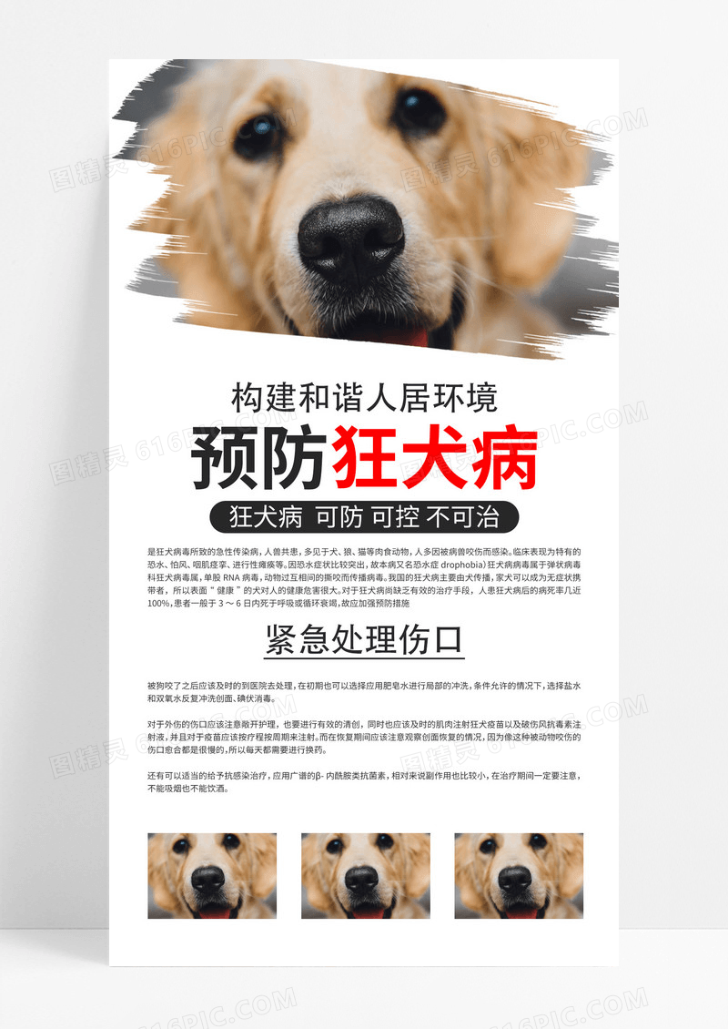 白色简约风预防狂犬病构建和谐人居环境世界狂犬病日手机海报