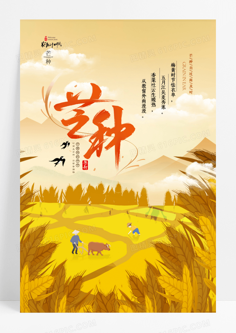 简约大气唯美芒种二十四节气宣传海报