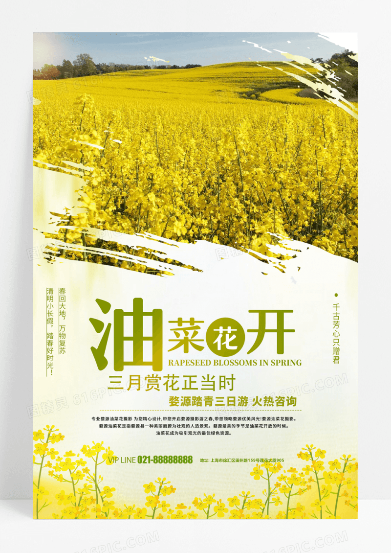 黄色简约油菜花开三月赏花踏青海报