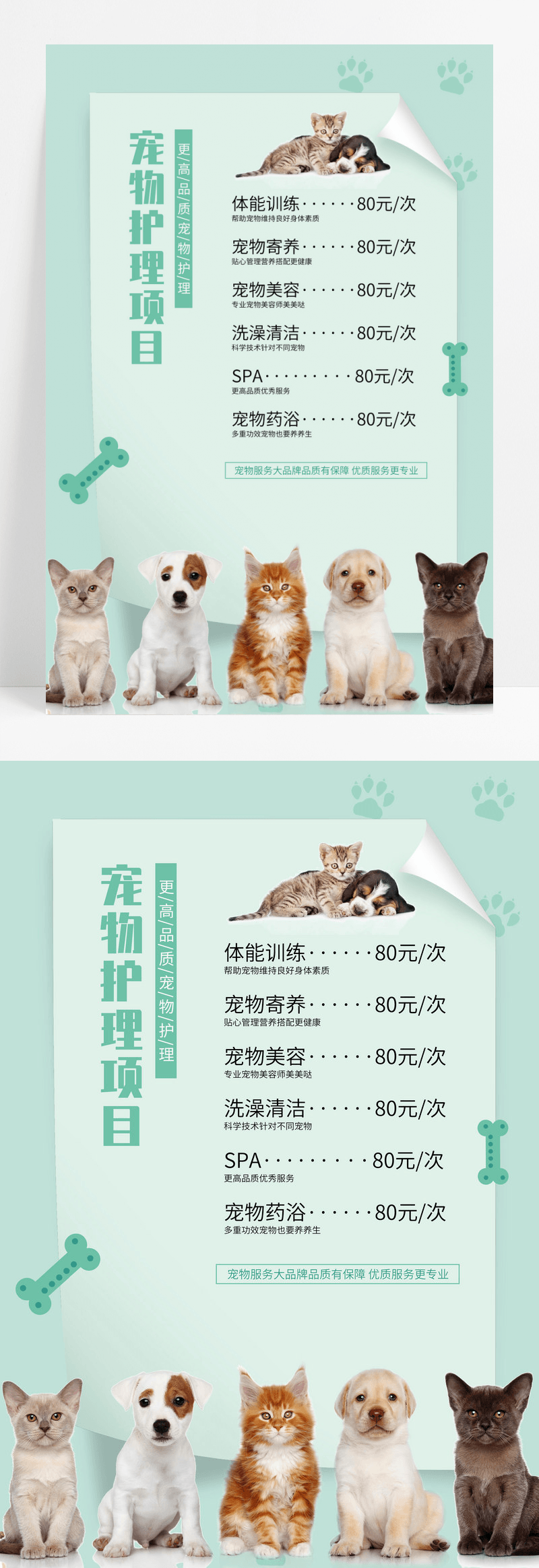 简约宠物护理项目宣传活动价目表海报宠物店价格表
