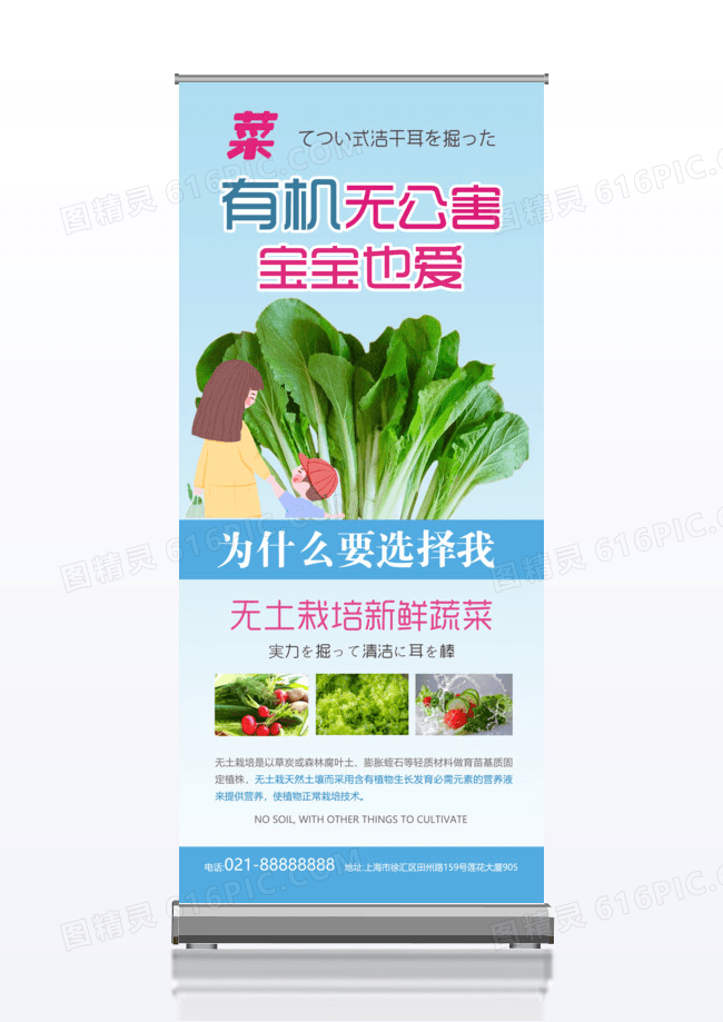 绿色无公害新菜宣传促销x展架