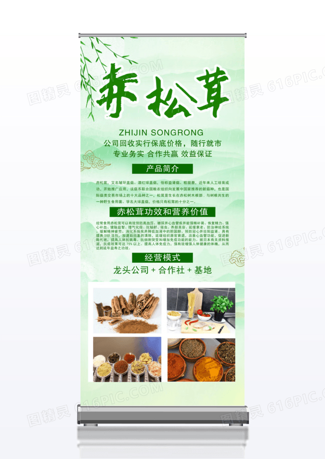 绿色调料松茸调味品展架易拉宝