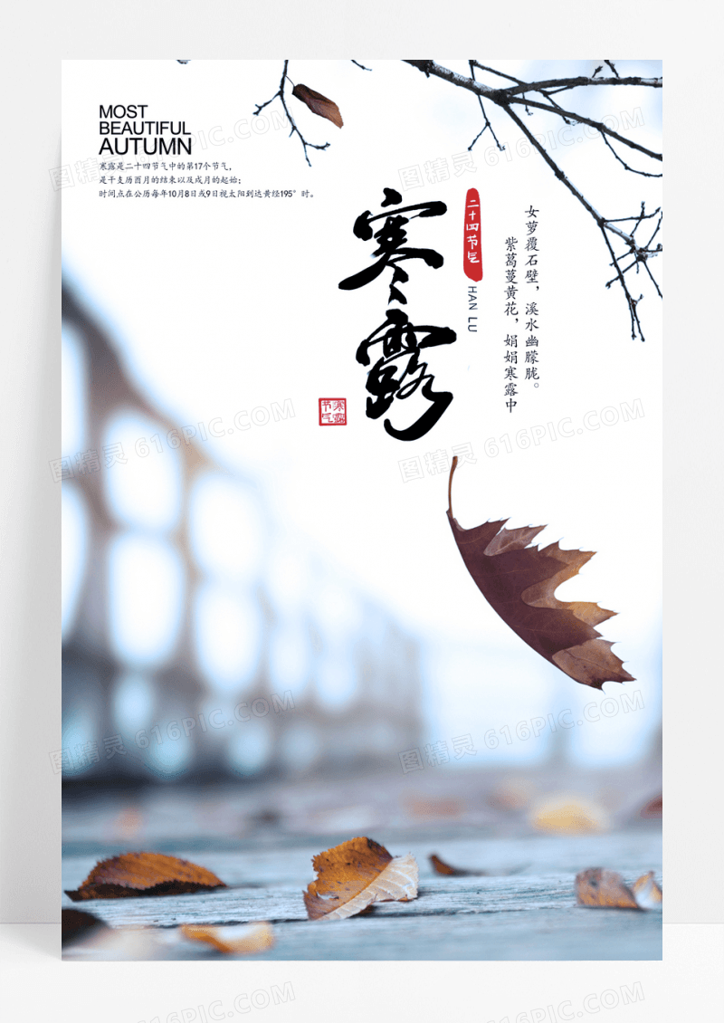白色简约寒露二十四节气海报