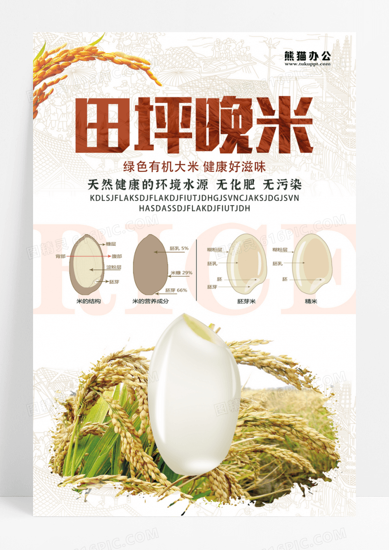 白色简介大米宣传海报