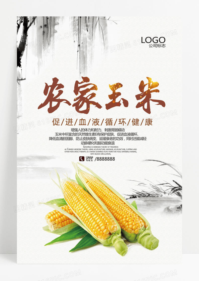  简约玉米摄影健康海报