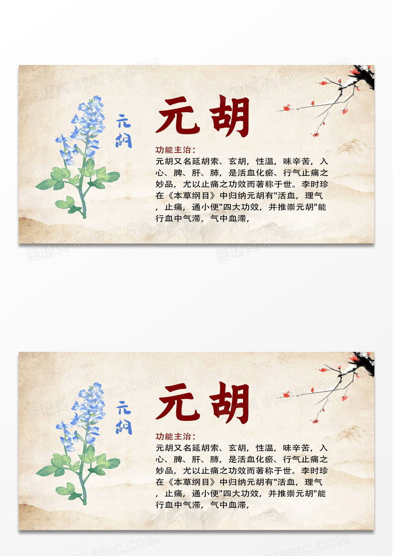 黄色简约石斛中药药材展板