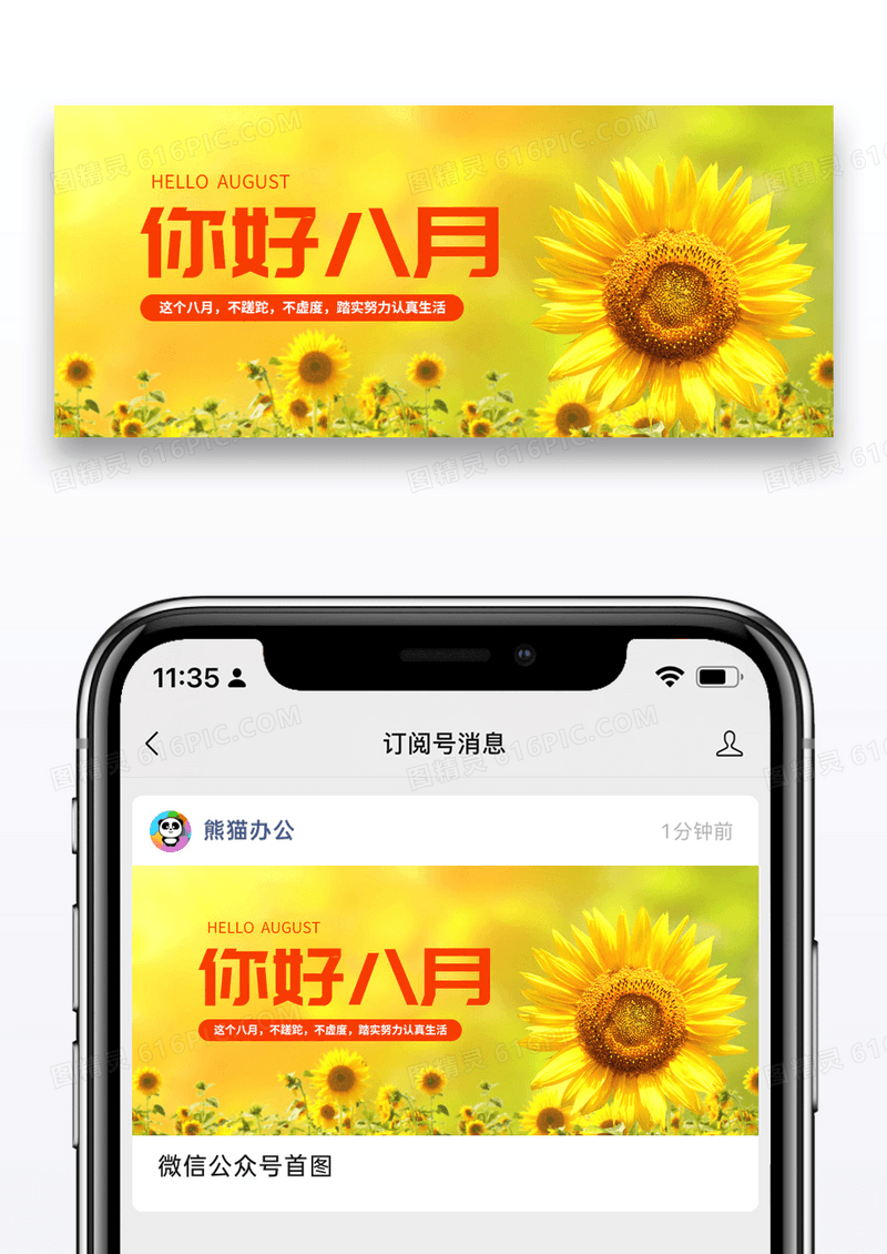 简约八月你好微信公众号封面图片