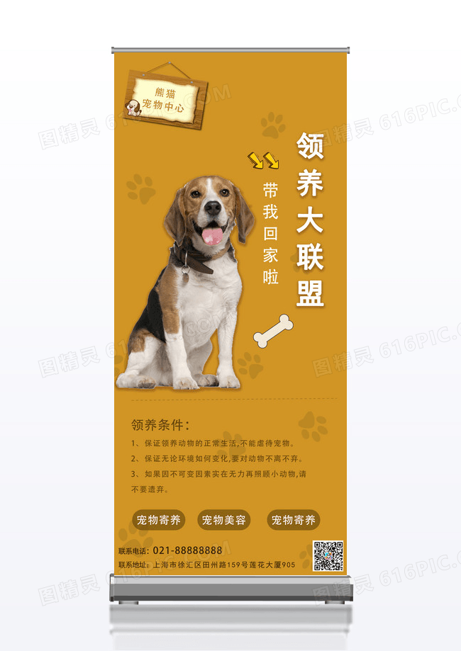 卡通宠物领养宠物店展架