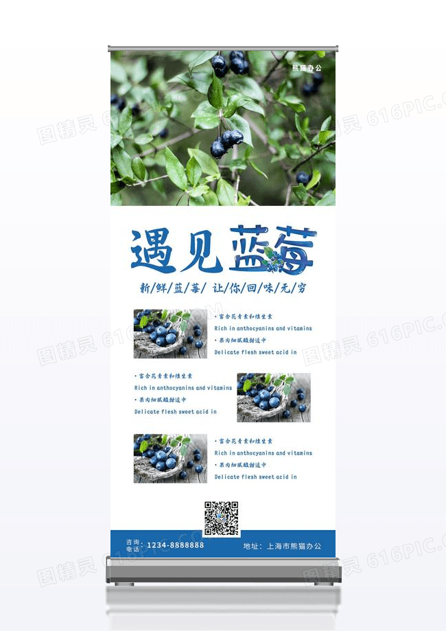美味蓝莓设计简约产品宣传水果蓝莓X展架易拉宝