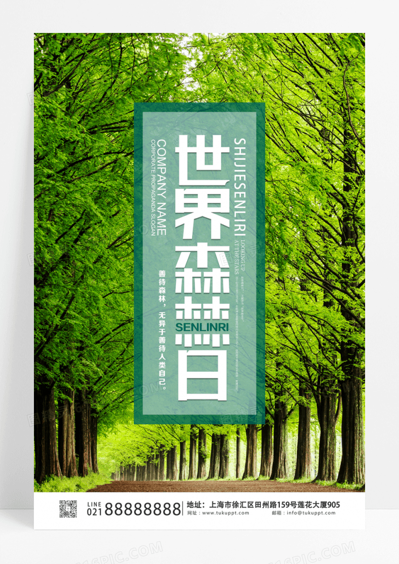 绿色树林简约背景世界森林日海报