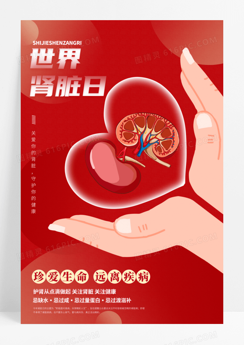 红色简约世界肾脏日宣传海报