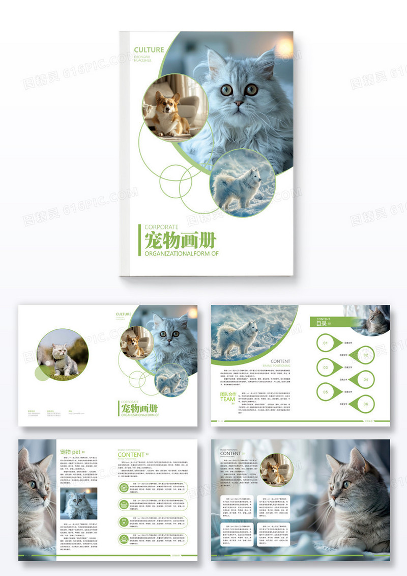 浅绿色创意简洁宠物画册整套设计画册模版