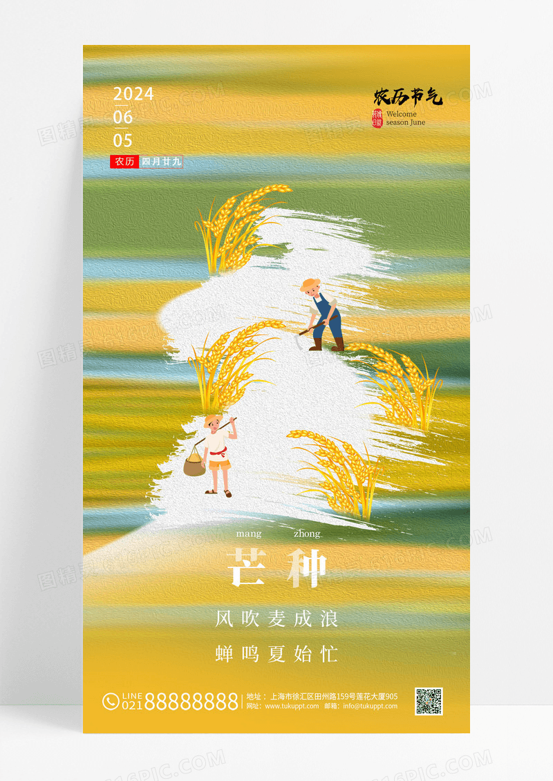 渐变简约24节气芒种手机海报