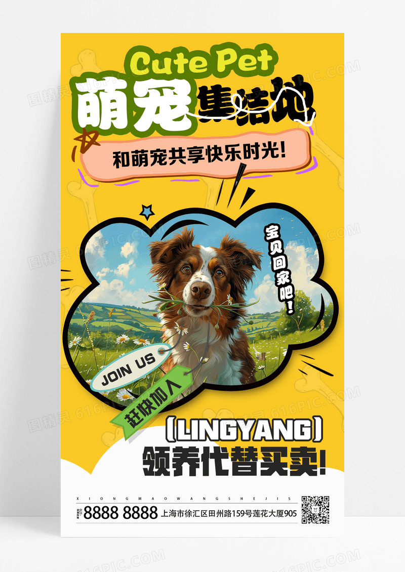 黄色简约宠物集集结地海报海报设计