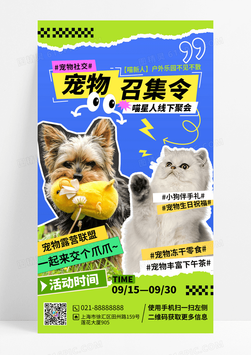 蓝色卡通可爱撕纸宠物猫狗召集令宣传海报