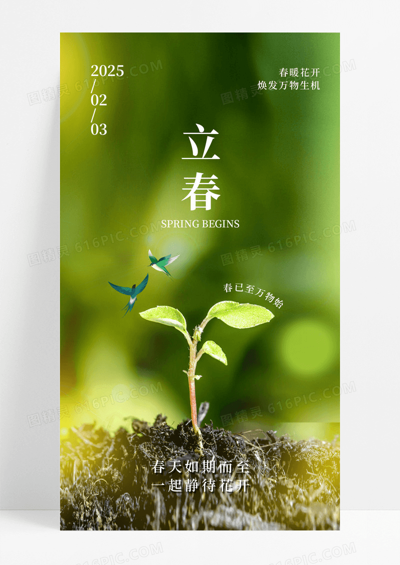 绿色实拍风二十四节气立春海报