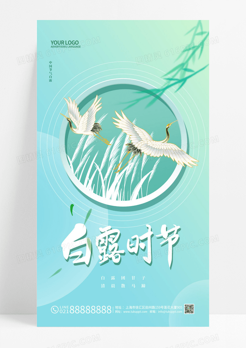 绿色简约二十四节气白露手机宣传海报