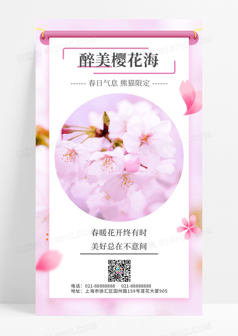 樱花粉色实拍春天春日春季樱花节海手机宣传海报