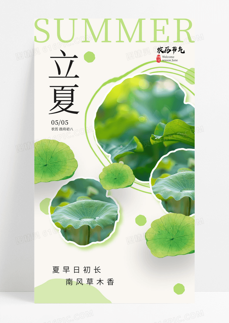 绿色实拍风二十四节气立夏荷叶海报