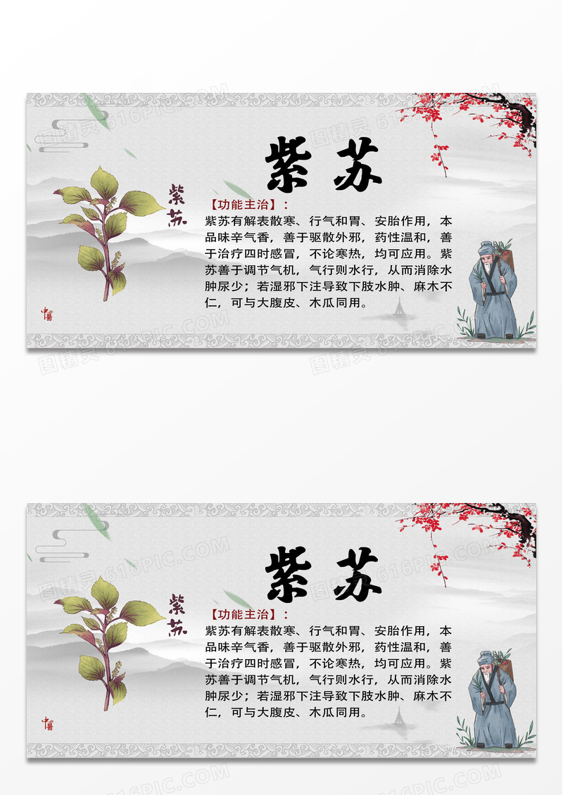 黄色简约紫苏中药药材展板
