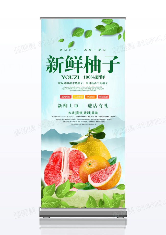 清新简约大气新鲜柚子冬季水果展架