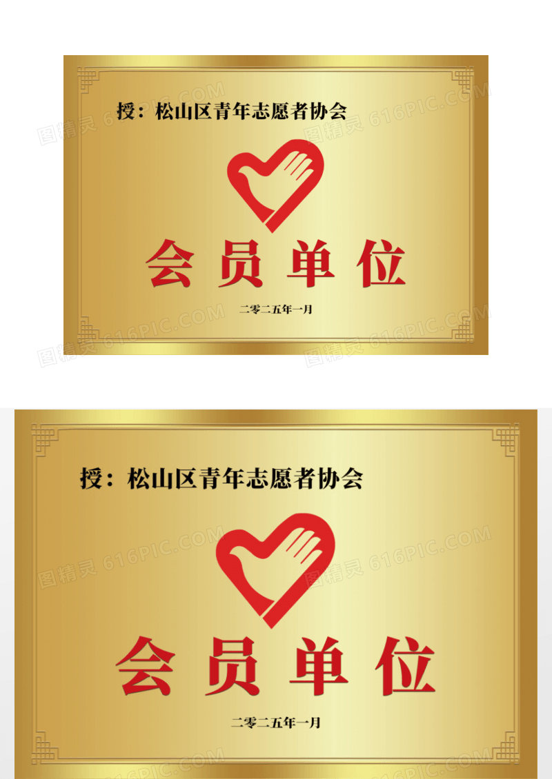 志愿者志愿者会员单位青年协会奖牌模版