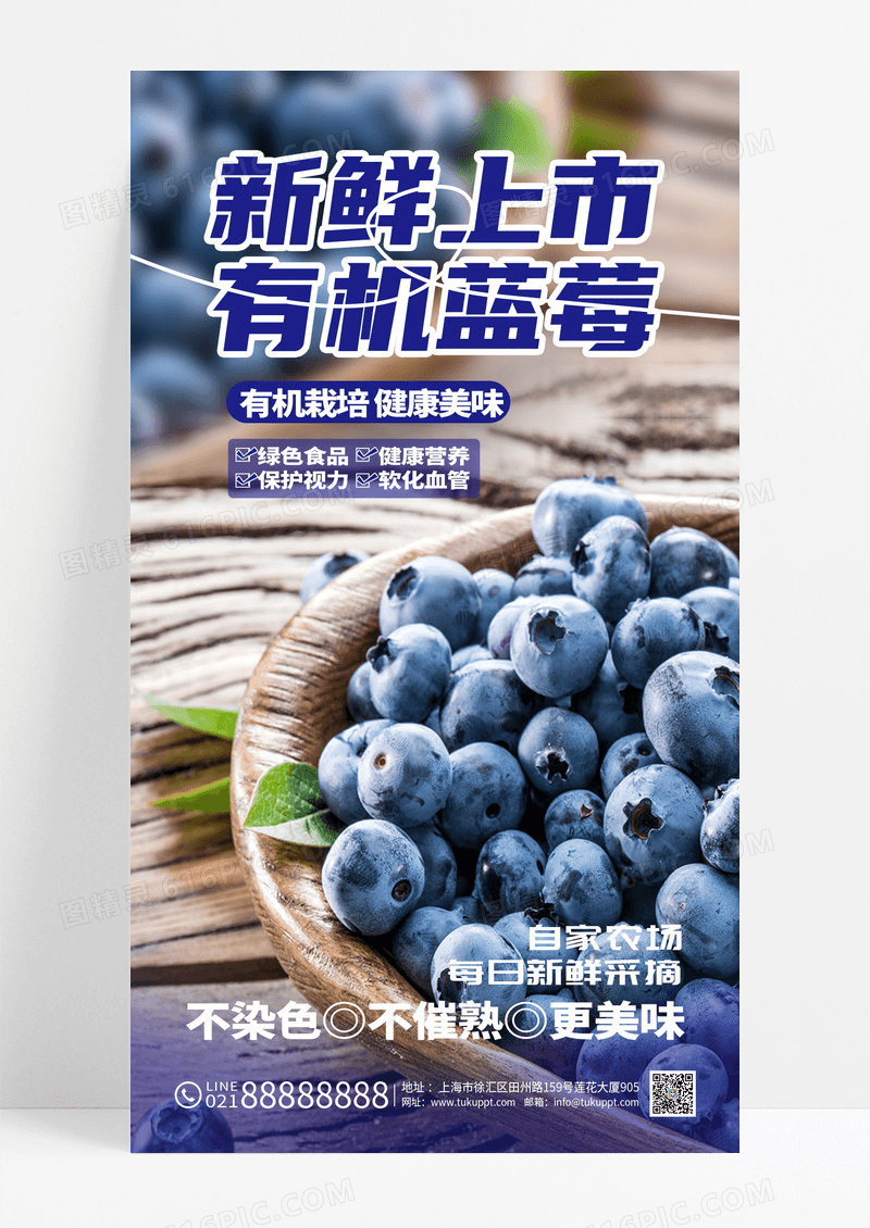 实拍2025蓝莓水果促销摄影图海报