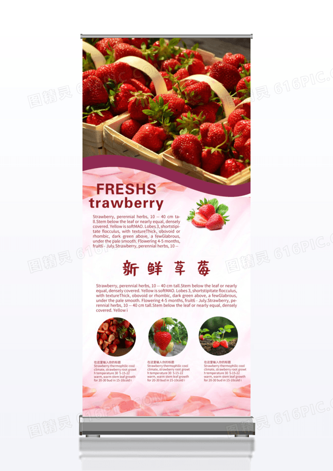 现摘新鲜草莓x展架