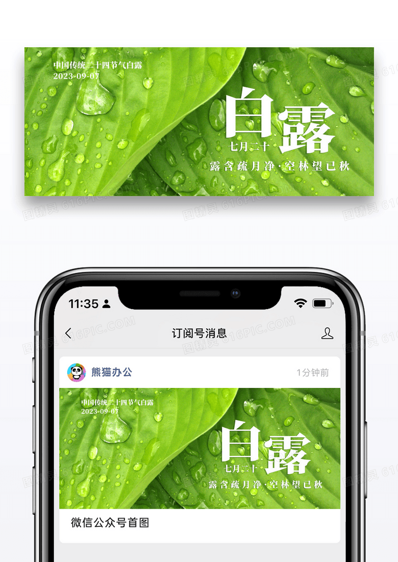 绿色二十四节气白露微信公众号封面图片
